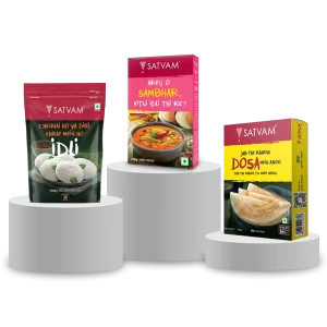 South Indian Combo 1